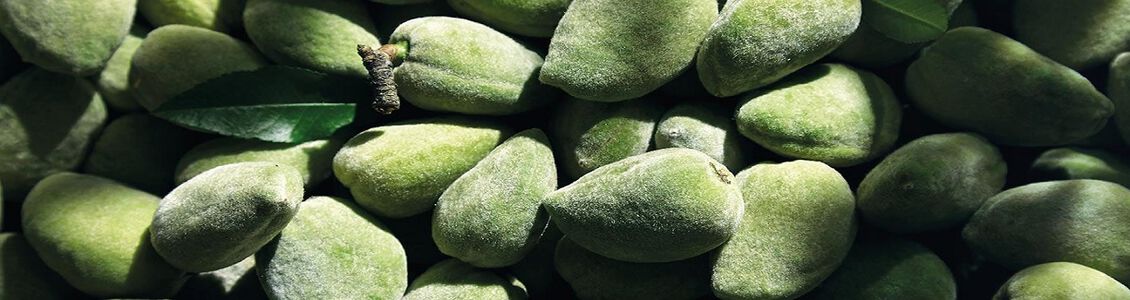 Almond